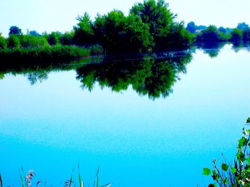 Reflection of trees in calm lake