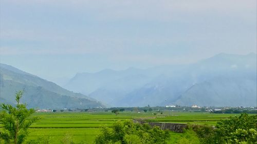 Scenic view of agricultural field against sky