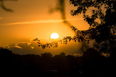 Silhouette trees on landscape against orange sky