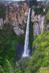 View of waterfall in forest