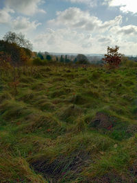 Scenic view of field against sky