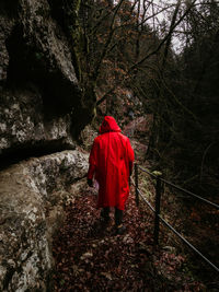 Rear view of man walking in forest