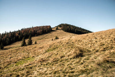 Scenic view of arid landscape against clear sky