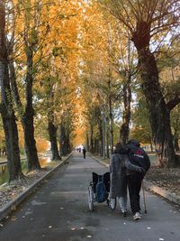 Rear view of woman walking on road amidst autumn trees