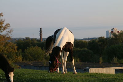 Rear view of people by lake against sky