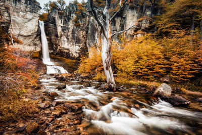 Stream flowing through rocks in forest during autumn