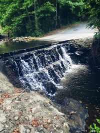 High angle view of waterfall in forest