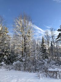 Trees on snow covered field against sky