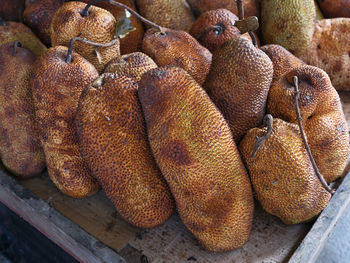 Delicious jackfruits sold at the local market