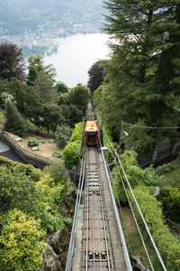 High angle view of railroad tracks amidst plants