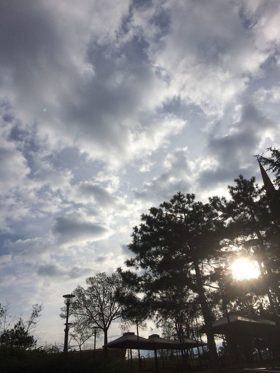 tree, sky, sun, silhouette, sunbeam, sunlight, cloud - sky, low angle view, tranquility, nature, beauty in nature, tranquil scene, lens flare, scenics, growth, sunset, cloudy, cloud, branch, street light