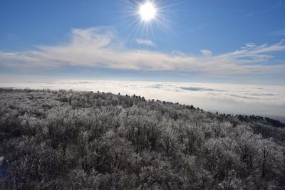 Scenic view of landscape against sky