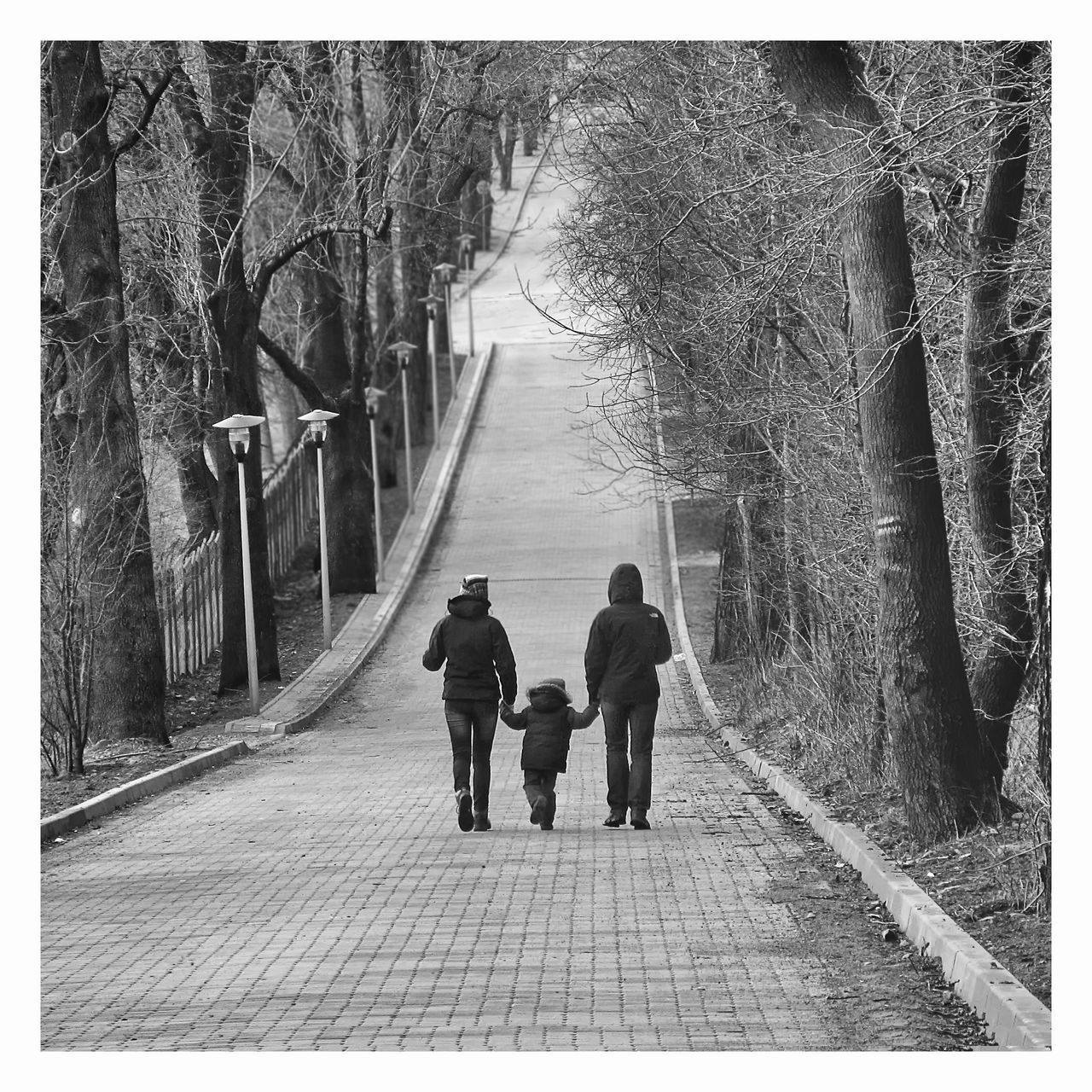 REAR VIEW OF PEOPLE WALKING ON FOOTPATH BY TREES