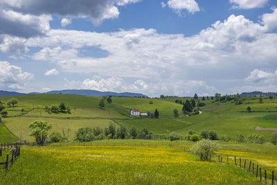 Scenic view of agricultural field against sky