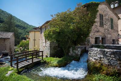 Trees and houses by river against buildings