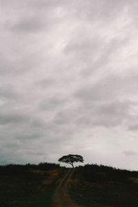 Scenic view of landscape against cloudy sky