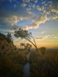 Scenic view of land against sky during sunset