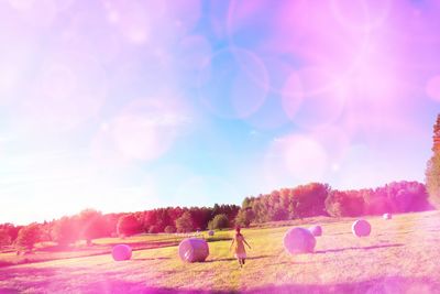 Scenic view of agricultural field against blue sky on sunny day