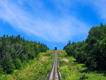Railway tracks along trees and plants against sky