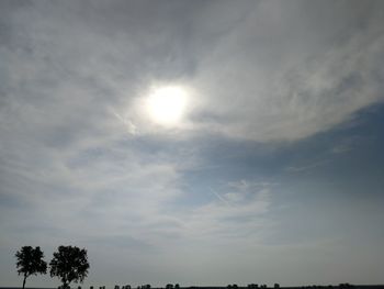 Low angle view of sunlight streaming through silhouette tree against sky