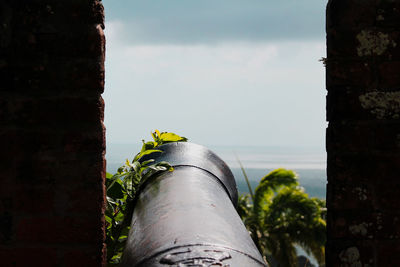 Close-up of old building against sky