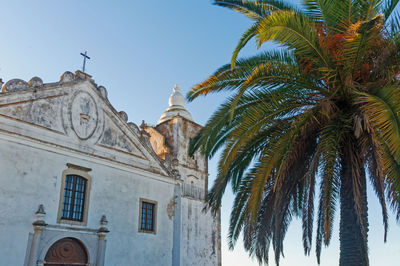 Low angle view of palm trees and building against sky