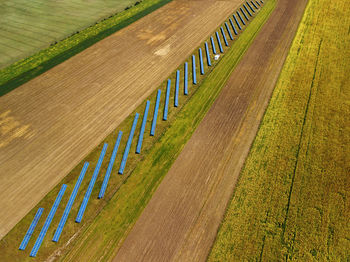 High angle view of agricultural field