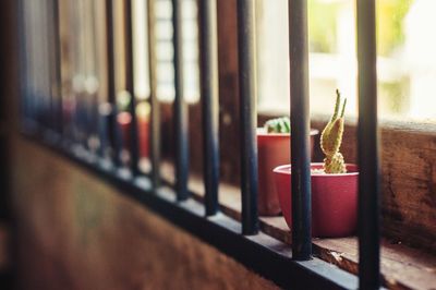 Close-up of window on table against building