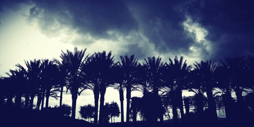 Low angle view of silhouette trees against cloudy sky