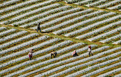 Full frame shot of wooden wall