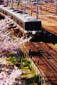 Railroad tracks in city