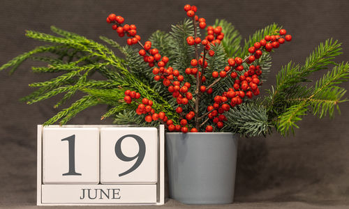 Close-up of red berries on plant