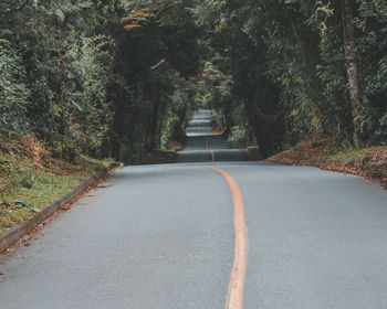 Empty road amidst trees in forest