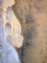 Close-up of water on rock