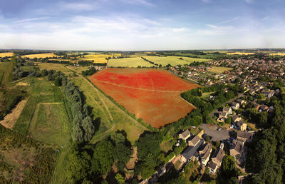 An aerial view of poppies in bloom in a field near ipswich, uk