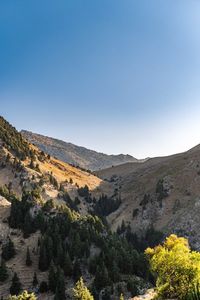 Scenic view of landscape against clear sky