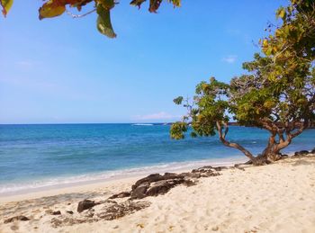 Scenic view of sea against blue sky