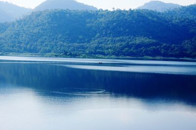 Scenic view of lake in forest