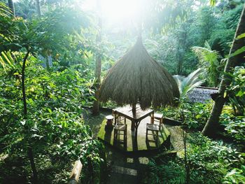 Panoramic shot of trees by plants