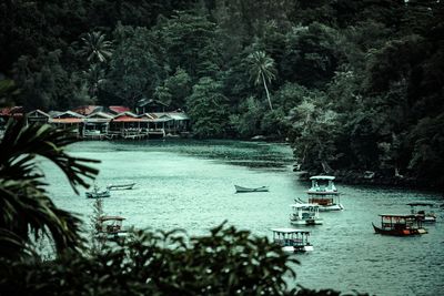 Scenic view of river in forest