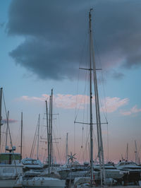 Sailboats moored at harbor