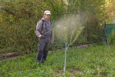 Treatment of trees from pests. fungicides and insecticides in a sprayer.