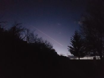 Silhouette trees against sky at night