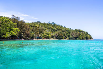 Scenic view of sea against blue sky