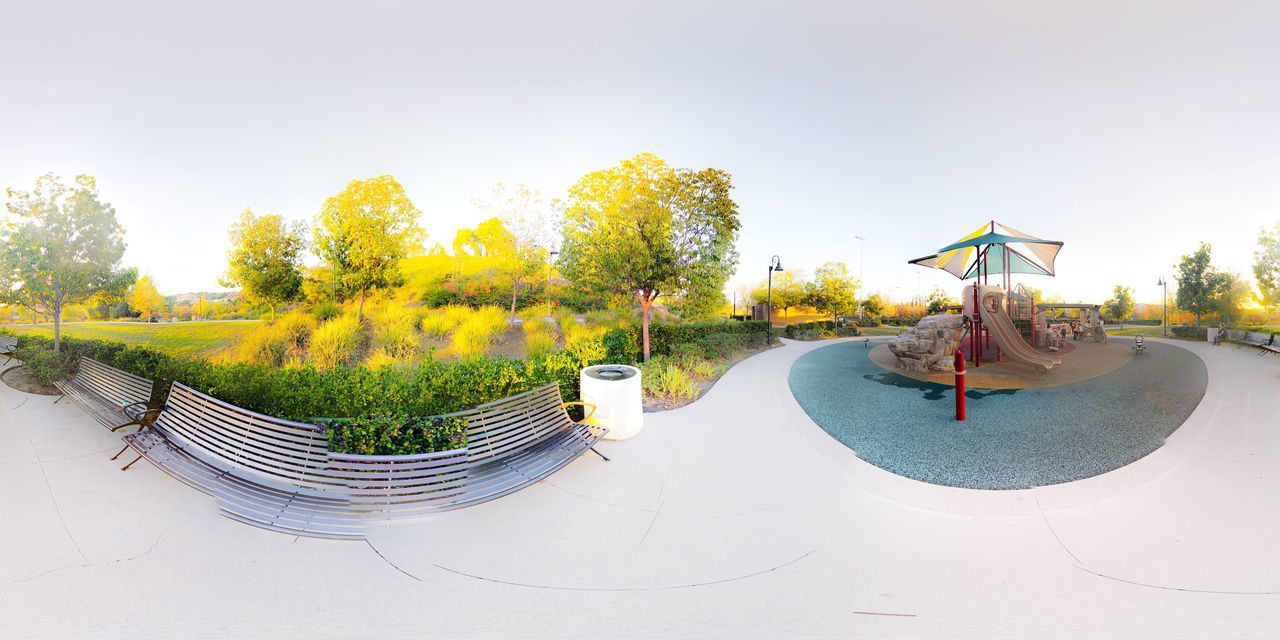 PLANTS BY SWIMMING POOL AGAINST SKY