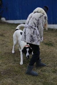 Portrait of bucovina dog playing with women 