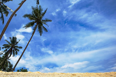 Low angle view of coconut palm trees against sky