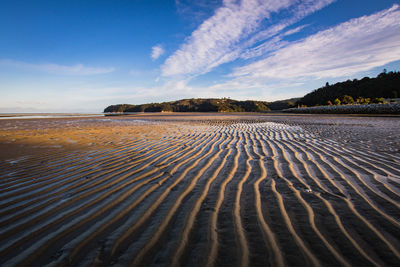 Surface level of sandy beach against sky