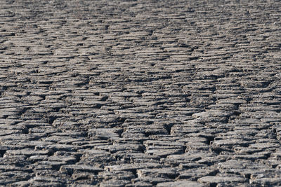 Tandohang port mud flat area after the tide water has left. ansan, south korea