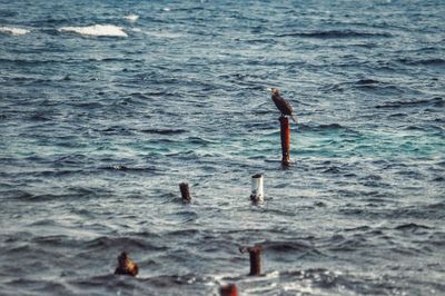 Woman swimming in sea